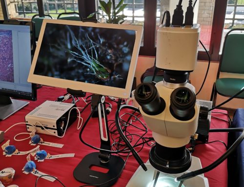 Chromyx colour camera